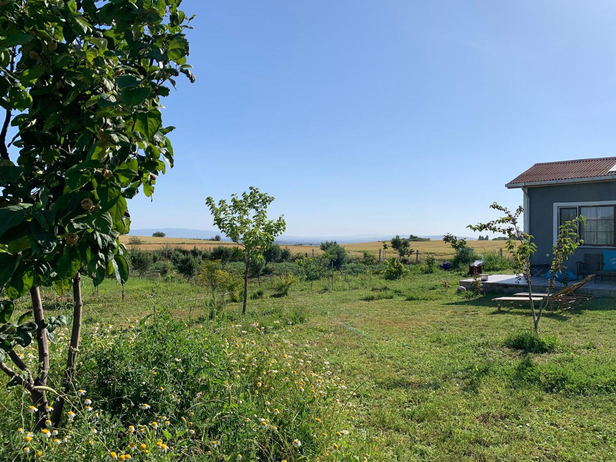 Kublay'S Villa Gallipolli Exteriör bild